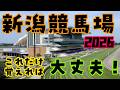 【新潟競馬場攻略2026】距離別の強めの特徴を徹底解説　馬券に役立つ有利な脚質、枠、騎手、血統など買い方を攻略