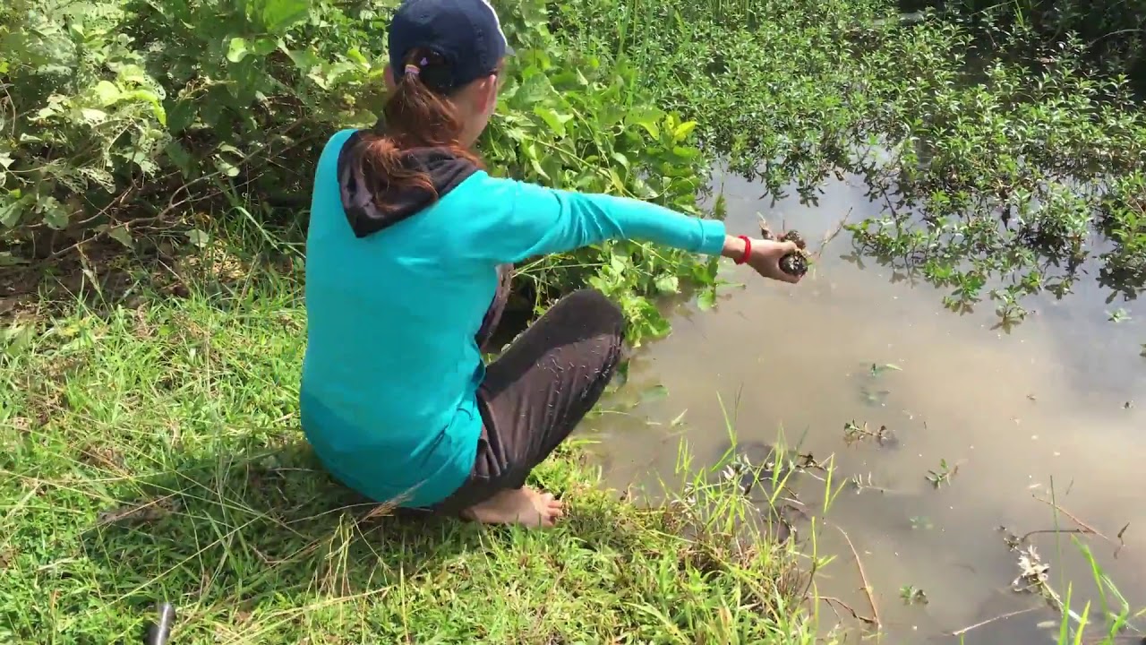 Amazing Net Fishing Beautiful Girls Fishing With Minnow Trap Best Women ...