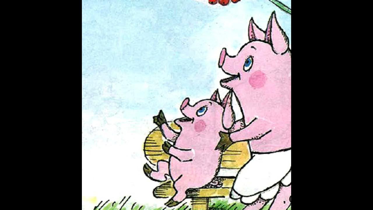 Сказку чуня. Поросенок чуня книга. Чуни что значит. Сказку чуня. Чуня карганова.