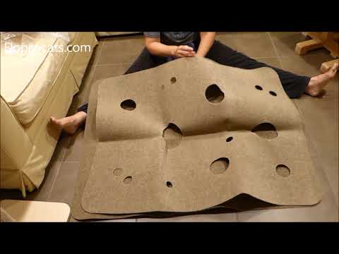 Cat Activity Play Mat: Ripple Rug Unboxing Arrival Video - Floppycats