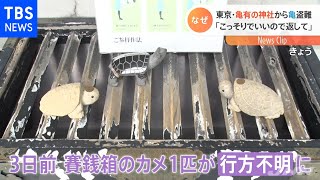 亀有の神社の「亀」盗まれる【Nスタ】