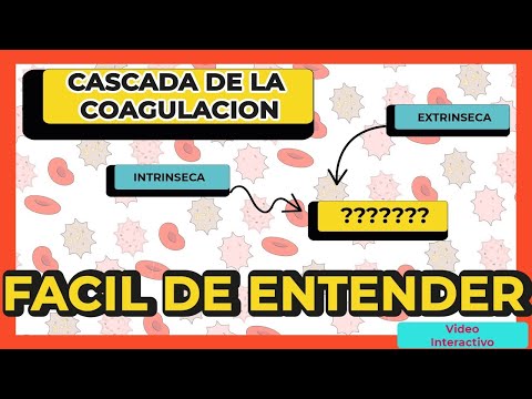 Vídeo: Diferencia Entre Las Vías Intrínsecas Y Extrínsecas En La Coagulación Sanguínea