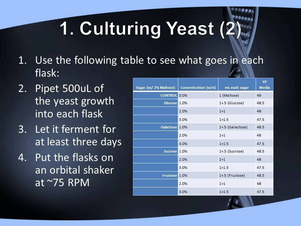 A lab research project for the 2015 Student Bio Expo by Sean Touhey and Matt Durham