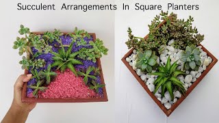 2 Easy Ideas To Arrange  Succulents In Square Planters | Succulent Arrangements For Beginners