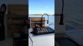 DAY 2 | Off Grid House Boat Vacation #shorts #boats