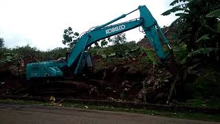Excavator Kobelco Eksekusi Pohon Pisang