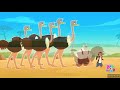 The Ostrich ENGLISH 