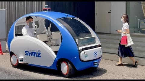 Multimodal Trip Support with an Autonomous Vehicle and Autonomous Robots (HDR Author Version)