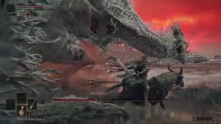 I beat Decaying Ekzykes | Level 49 Vagabond | Elden Ring