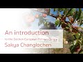 Dechens european retreat centre sakya changlochen ling