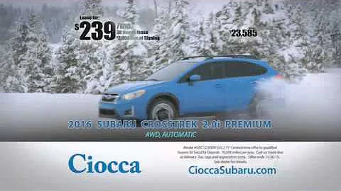 Ciocca Suabru Share the Love Event Commercial