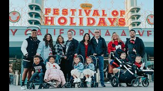 Disney California Adventure for 10th Anniversary - First Trip as family of 7 *Special VIP Experience