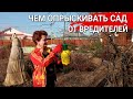 ЧЕМ ОПРЫСКИВАТЬ САД от вредителей