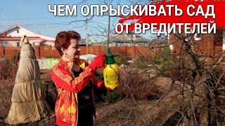 ЧЕМ ОПРЫСКИВАТЬ САД от вредителей