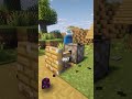 The rarest and most useless item in Minecraft!
