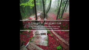 فَقُلۡتُ ٱسۡتَغۡفِرُوا۟ رَبَّكُمۡ إِنَّهُۥ كَانَ غَفَّارࣰا سورة نوح | القارئ هلويست نصرالدين