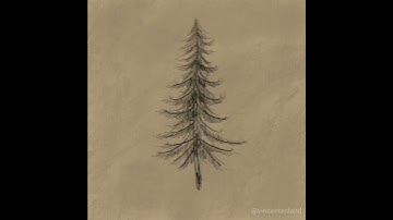 "Merry Christmas " - Time-Lapse