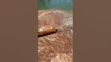 Lake Powell Water Bags 