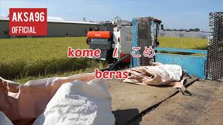 Download Lagu #alatcanggih #jepang  Mengenal alat panen padi di Jepang | vlog | part 1 MP3