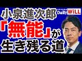 【無能】小泉進次郎「総理大臣」への道【デイリーWiLL】