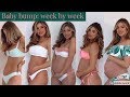 Pregnancy transformation // Belly week by week // Belle Lucia