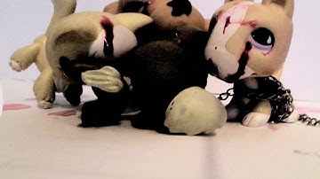 Lps mv ~ little game