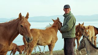 Horse Milk in the Mountains – A Day in a Nomad Village at Son-Kul Lake
