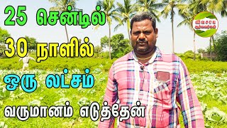 வெளிநாட்டு வேலையை விட்டுவிட்டு காய்கறி சாகுபடியில் அதிகம் சம்பாதித்துக் கொண்டிருக்கிறேன் #vegitable