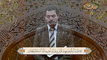 القارئ مازن الخالدي ـ ترتيل صفحة 244