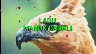 Lagu daerah | MANUK DADALI