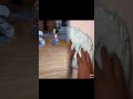 amazing