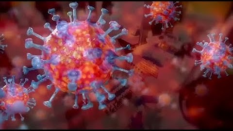 Omicron Variant: Everything You Need to Know About the New COVID-19 Strain