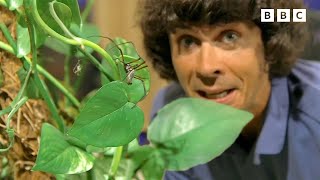 Creepy Crawlies with Andy! | Andy's Secret Hideout | Andy's Amazing Adventures