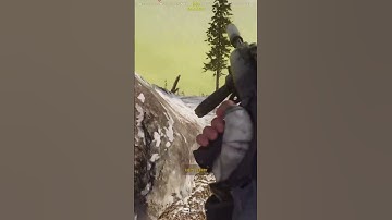 Solo trio wipe #warzone #gaming #funny