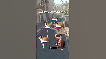 CS2 teammates in a nutshell