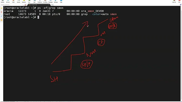 Database Startup Modes?