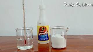 Praktikum From Home - Reaksi Eksoterm dan Endoterm