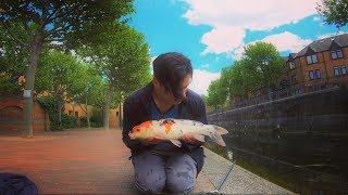 the London Carp NOBODY thought Existed  Street Fishing the City ft. Special Finds & Searches