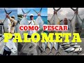 COMO PESCAR PALOMETAS DESDE PUENTES, COMO PESCAR PERMIT!