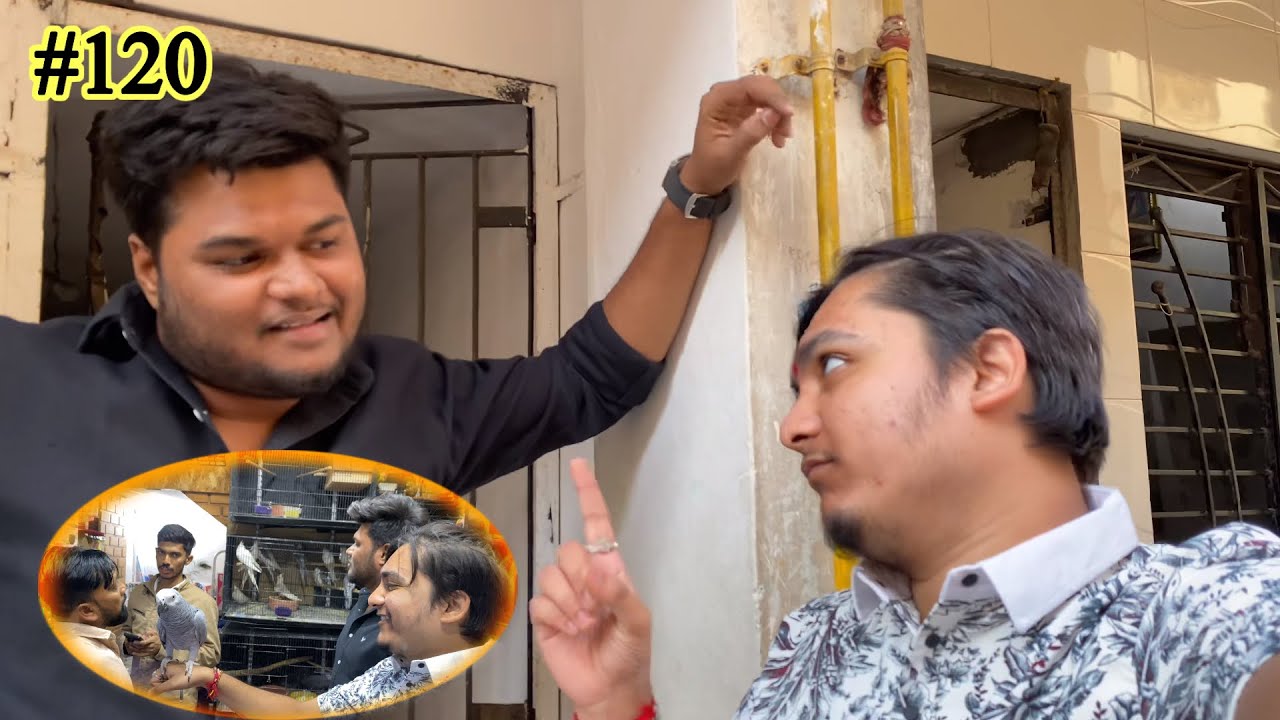 કેવિન નું surprise ? | Daily Vlog | Taksh Variya Vlog | Cute Perrot.