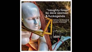 Dave Seaman &amp; Funkagenda   Naughty Forest Nicolas Masseyeff Remix