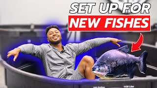 I Adopted 4 New Fish from New York and This Is How I Set Up for Them!