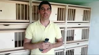 Leilão Solidário GPLoft - Pedro José