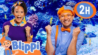 Aquarium Adventure - Jellyfish And More! | Blippi | 🔤 Moonbug Subtitles 🔤 | Learning Videos