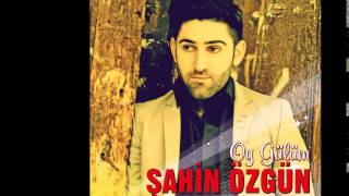 Şahin Özgün - Dar Ettin Dünyamı Resimi