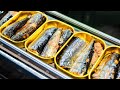 Canned Sardines: History, Benefits, and Production