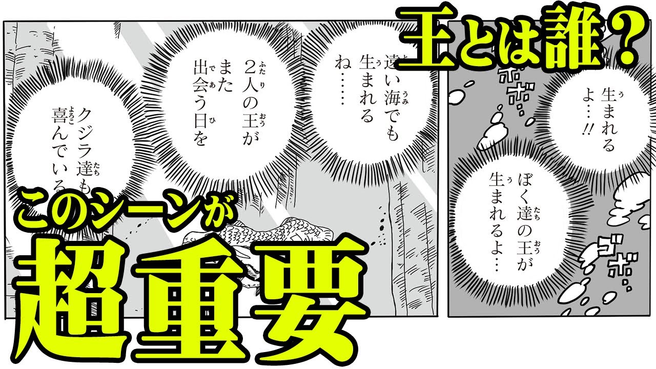 ワンピース とんでも伏線 海王類が言っていた 2人の王 とは しらほし姫 と のことだった 考察 Youtube