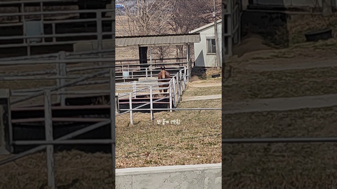 너가 그러고 있으면 내가 갈 수가 없어😭😭