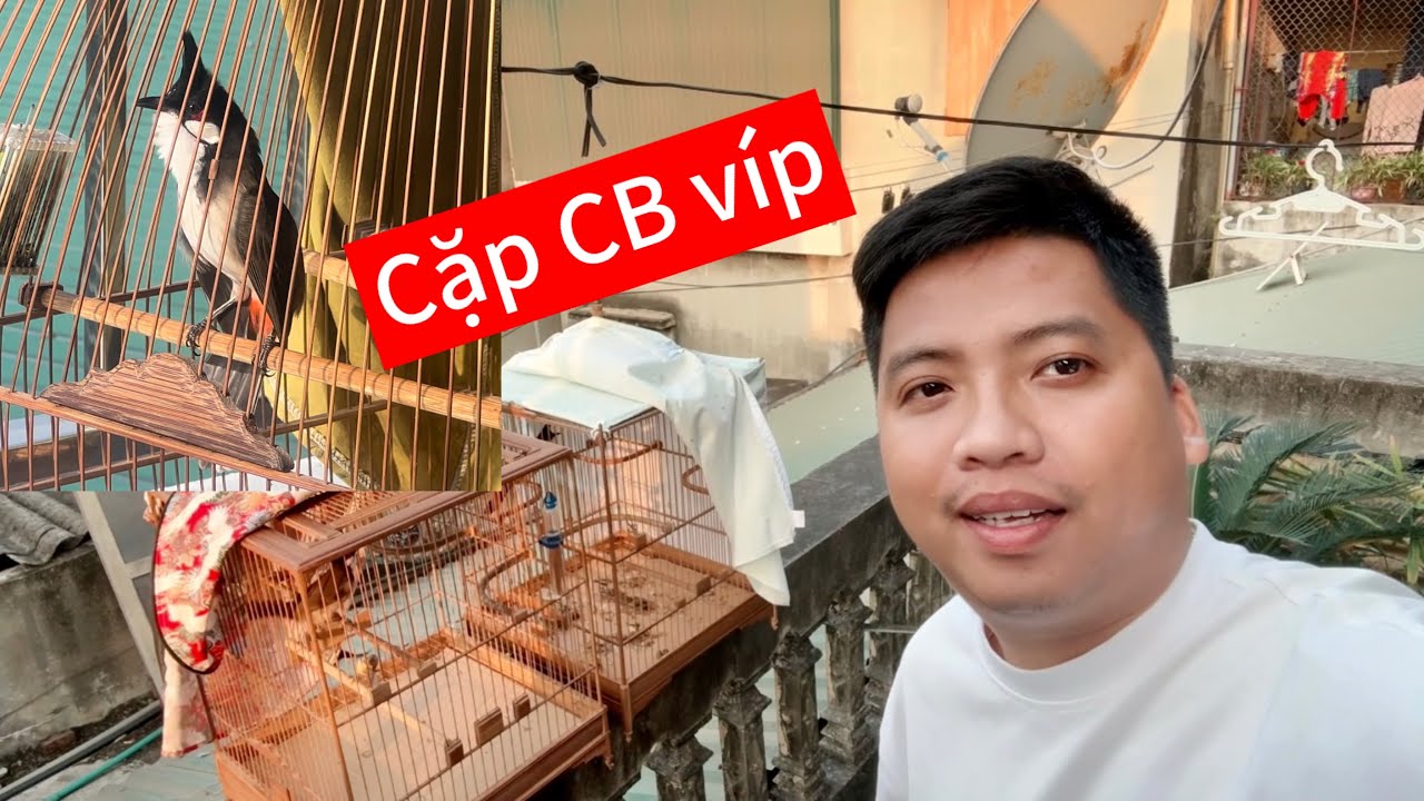 Cặp CB víp lật dí tốc độ chơi k biết mệt. Chạy cầu tốc độ chạy quá dẻo chơi xoè biểu diễn