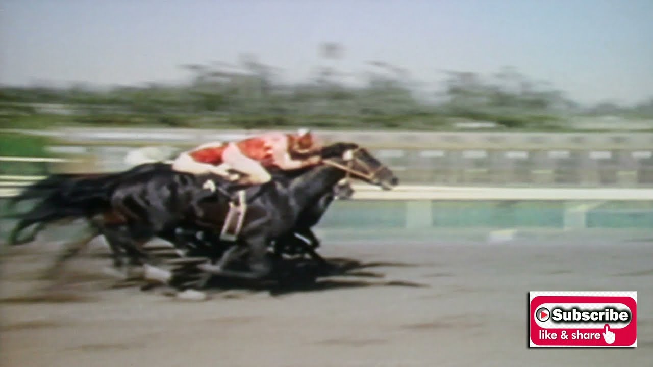 1976 Jockey Race of Champions HOLLYWOOD PARK